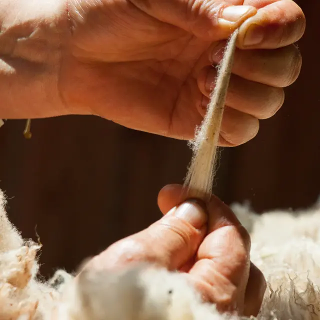 Atelier création de fleurs en laine feutrée à la Ferme du Lambert_Collobrières