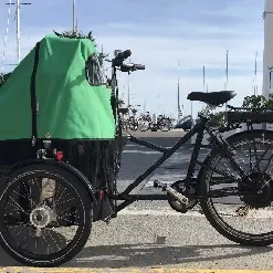 Triporteur électrique