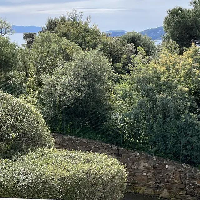 Villa Telma - T3 n°2_Le Lavandou