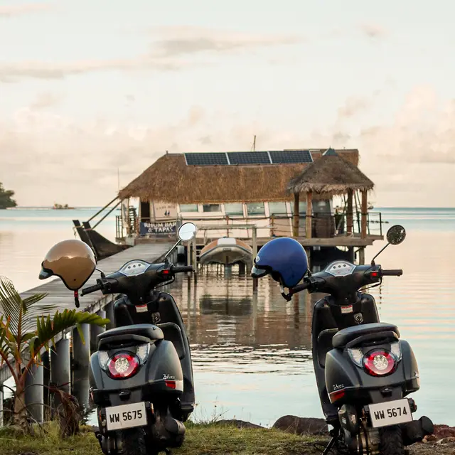 Tahaa Vroom
