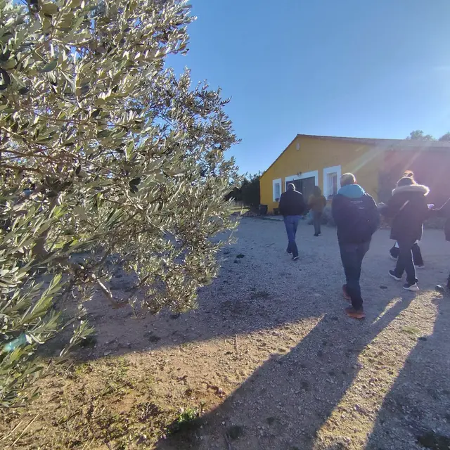 Rencontre avec une oléicultrice au Domaine Plan de Fossan_Martigues