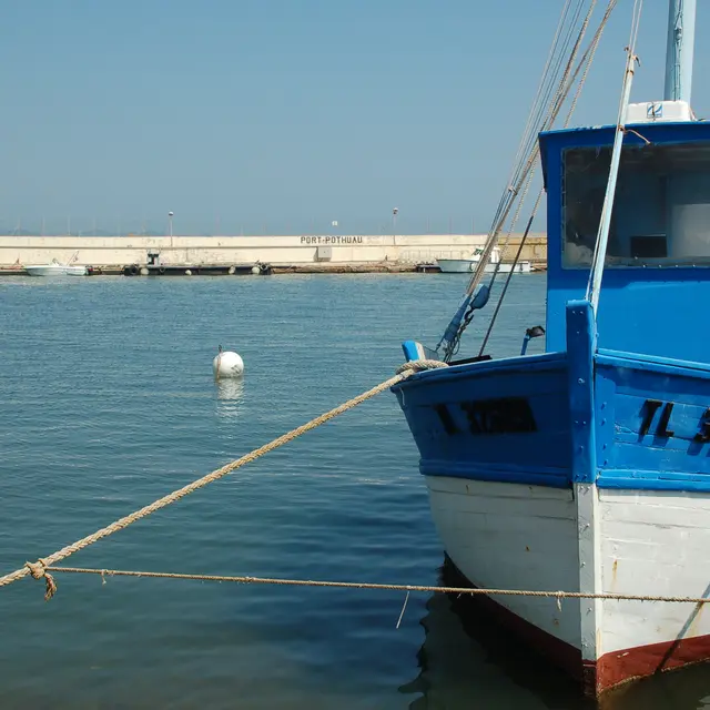 Les Pêcheurs Salinois