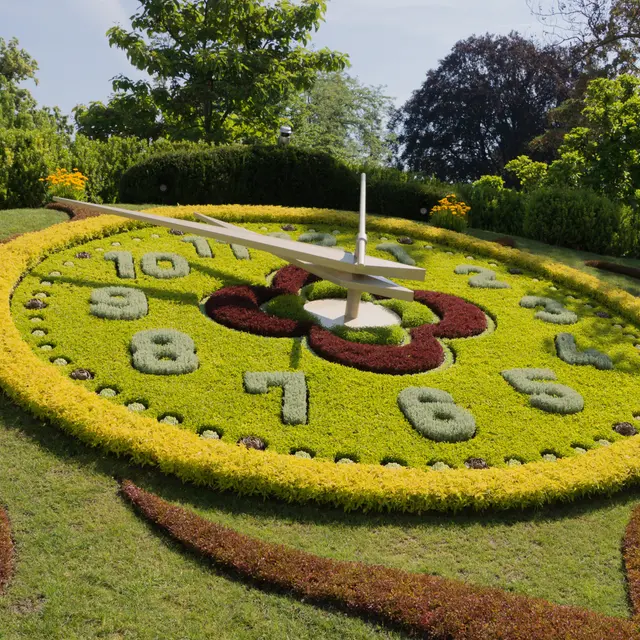 horloge fleuri