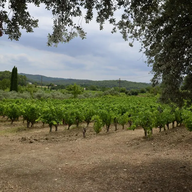 Domaines des Aumèdes