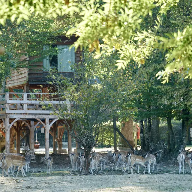 cabane Renne