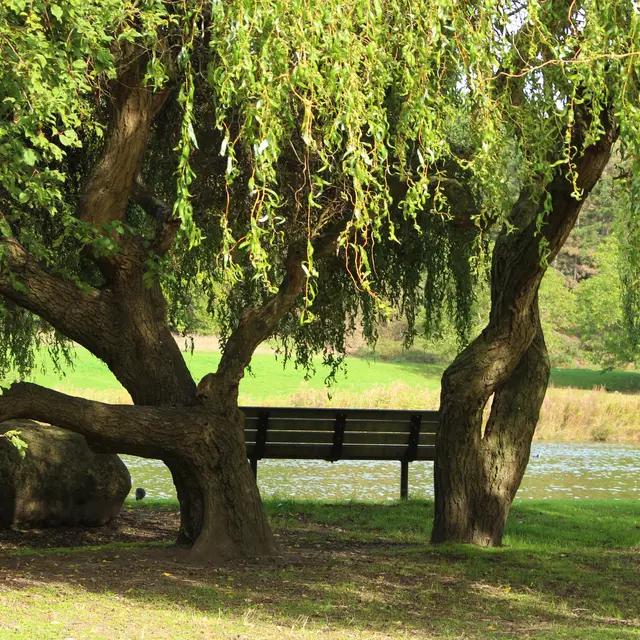 Parc Georges Valbon de La Courneuve