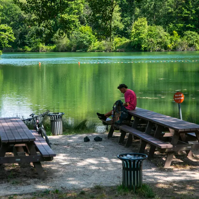 Aire de pique-nique de La Petite Anse_Lafrançaise