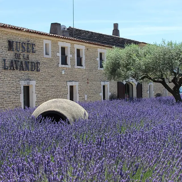 Musée de la Lavande