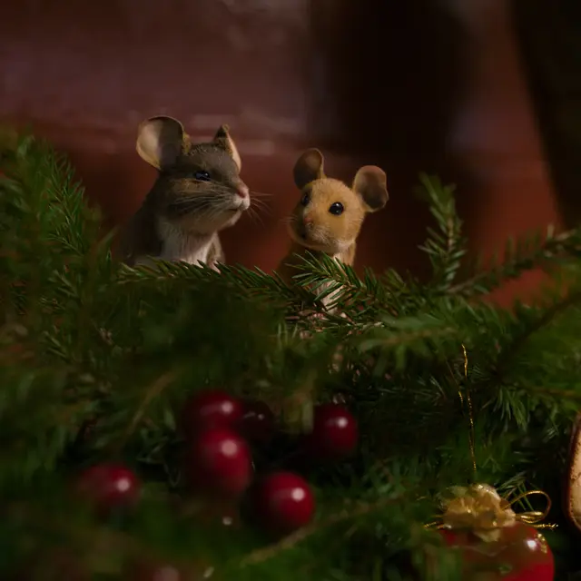 Séance de cinéma Panique à Noël_La Giettaz