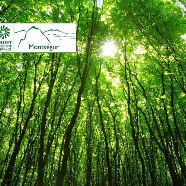 Des forêts et des agroforêts, quelles interactions avec les hommes ?_Lavelanet