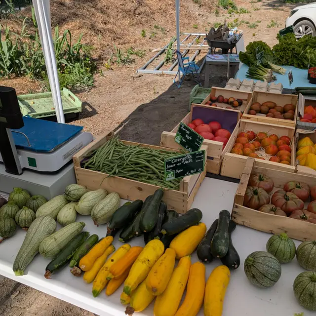 Le Potager Nature_Cabannes