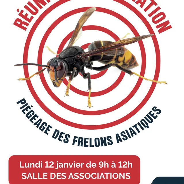 Réunion d'information sur le piégeage des frelons asiatiques_Lambesc