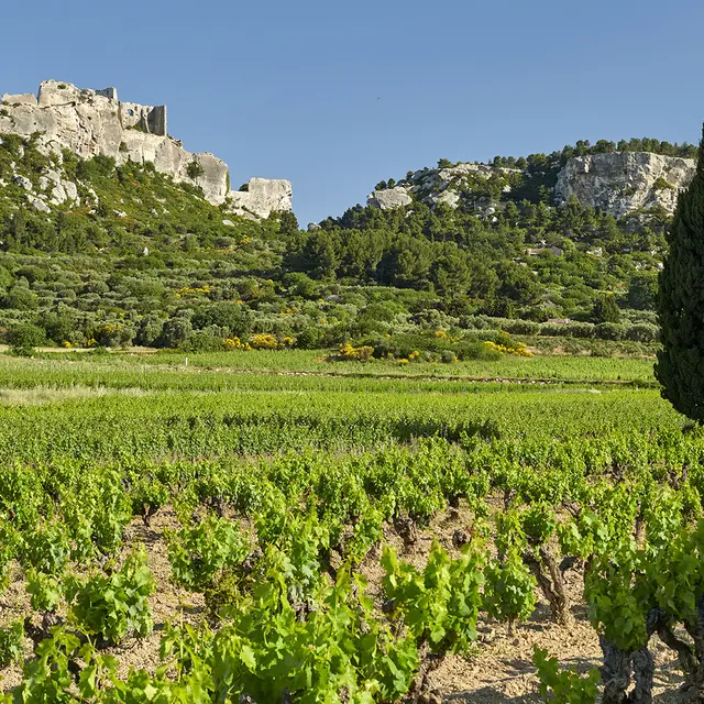Mas Sainte Berthe_Les Baux-de-Provence