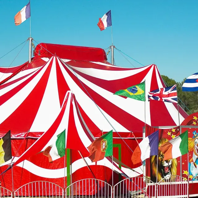 Cirque RICARDO_Auron