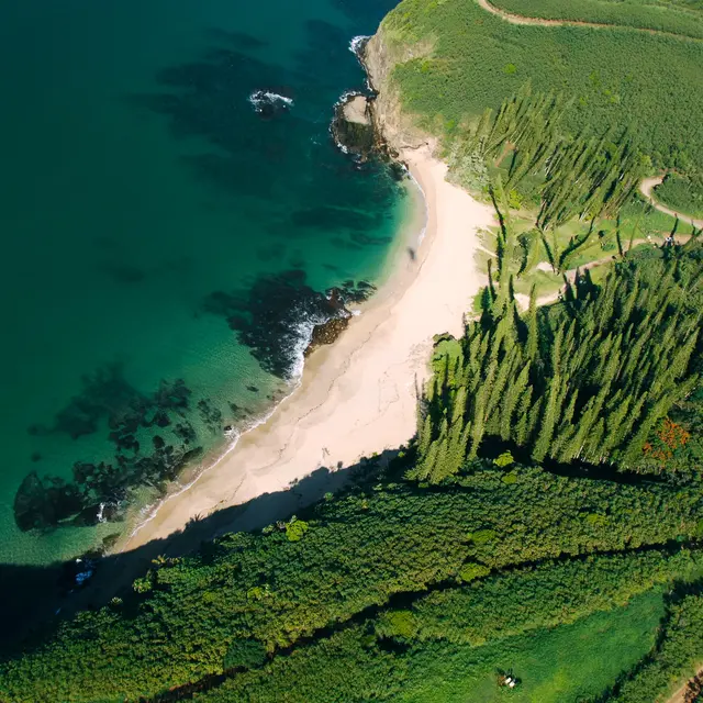 Baie des tortues