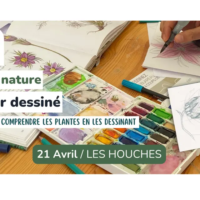 Atelier nature - Herbier dessiné_Les Houches