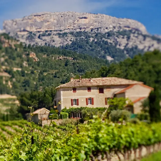 Domaine des Bernardins