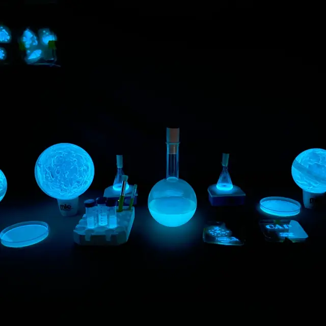 La Bioluminescence, une idée lumineuse!_Allauch