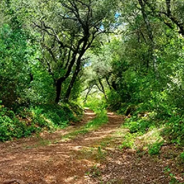 Sentier de randonnée - Château d'Astros - Vidauban