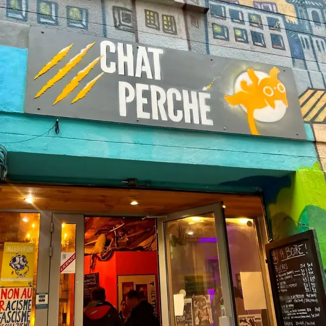Chat perché_Marseille