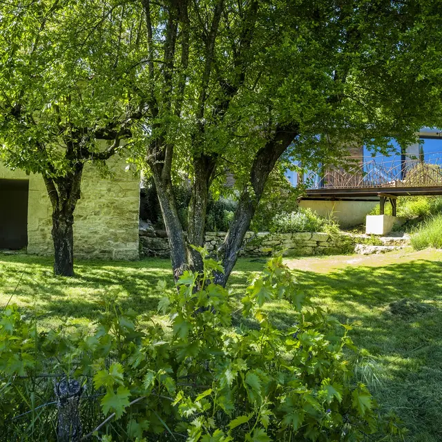 campagne st lazare spa