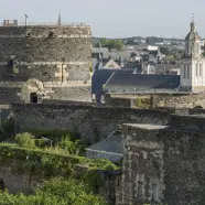 Visite thématique: Le château dans la ville