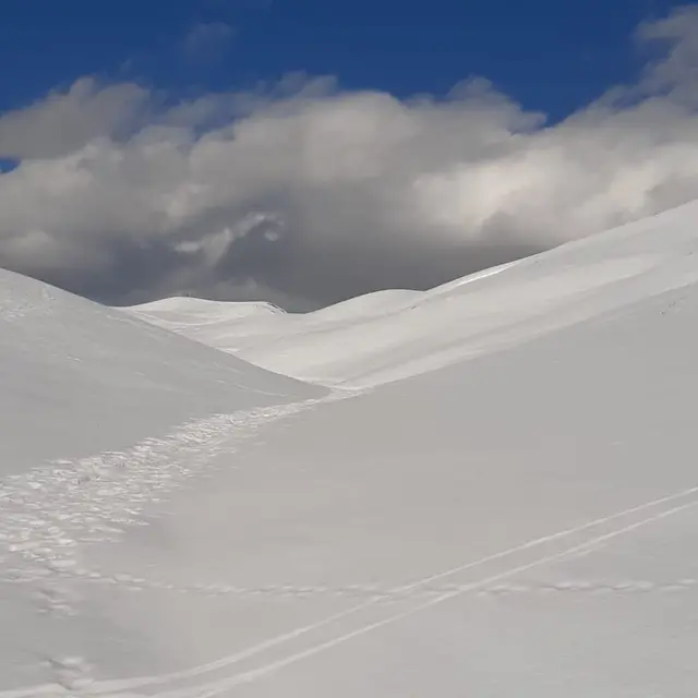 Vallon ski randonéee nordique