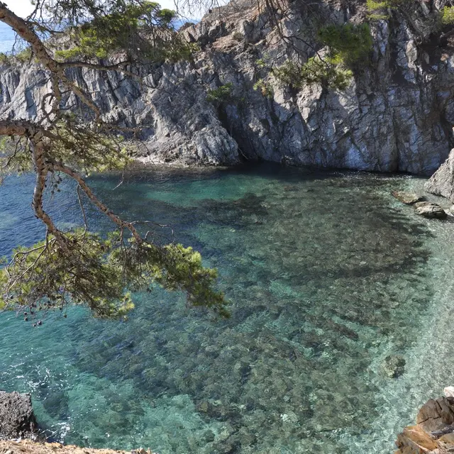 Darboussières - Hyères Presqu'ile de giens