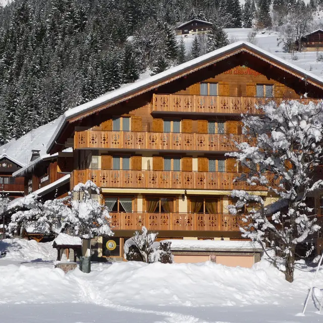 Perle des Neiges n°3