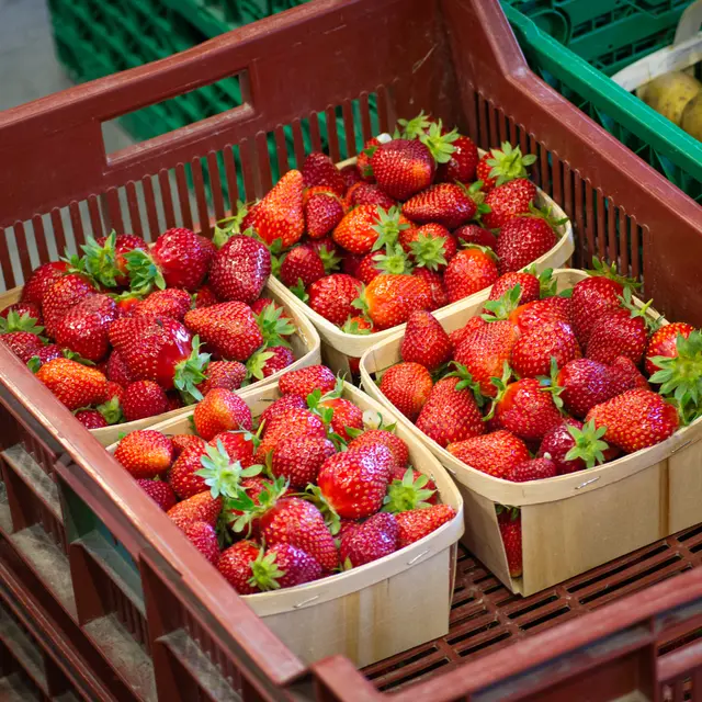 Marché à la ferme «Les Javonnes»_Jonquerettes