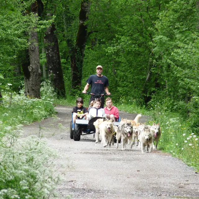 Les Traîneaux de l'Ubac