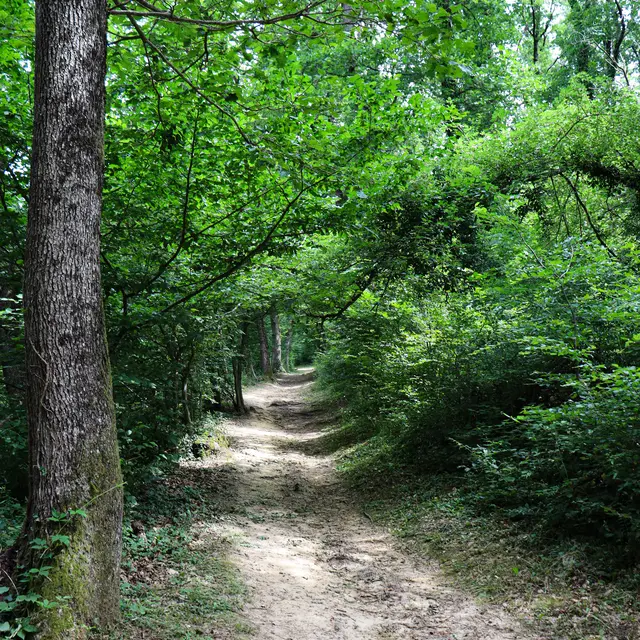 Par les croix bleue et rouge