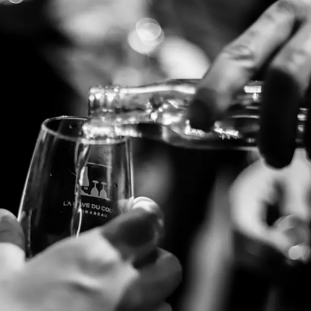 Dégustation de vins de Provence et de fromage_Aix-en-Provence