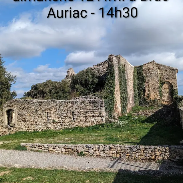 Balade botanique_Brue-Auriac