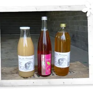 Domaine du Pin - Curbans