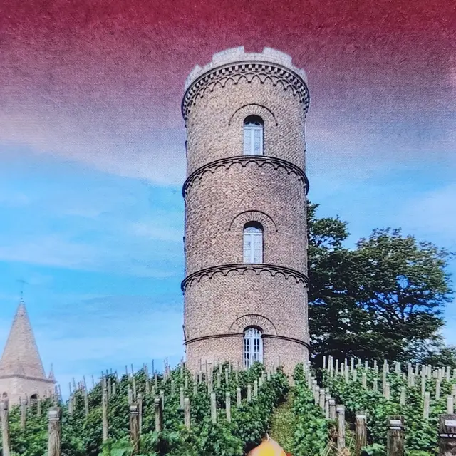 Histoire de la vigne des Minimes de Montmerle-sur-Saône_Montmerle-sur-Saône