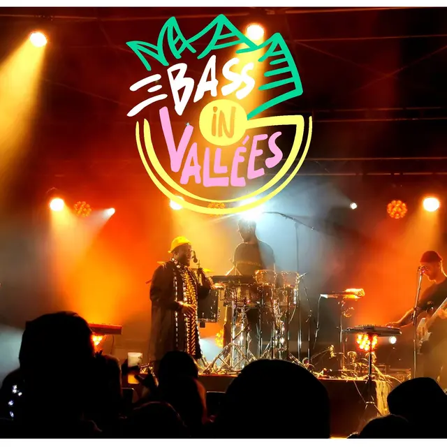 Scène Bass in Vallees
