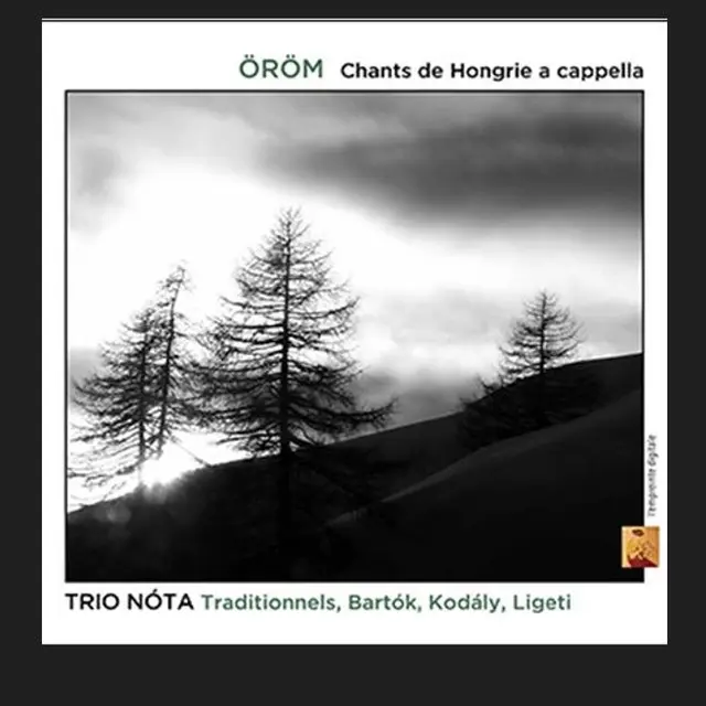 Trio Note : Oröm_Marseille