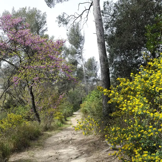 Parc des 7 collines - Ville de Marseille