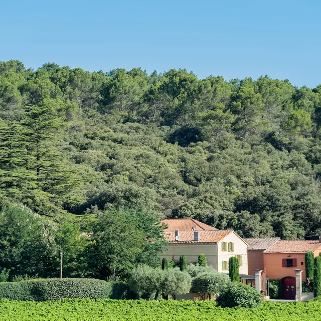 Domaine Saint Mitre - Saint Maximin la Sainte Baume