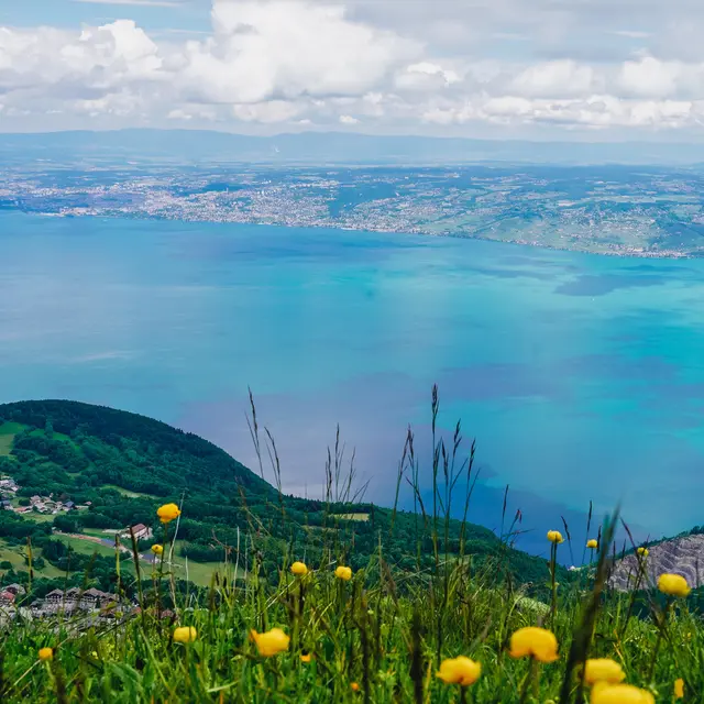 Thollon_les_mémises_vue_-_Virginie_Chabert_2024