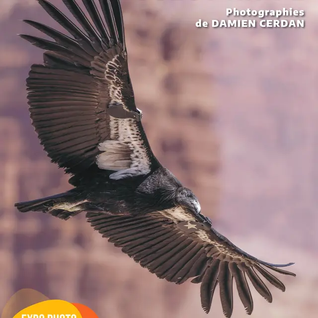 Exposition « Ouest Aride » Saint-Martin-de-Crau