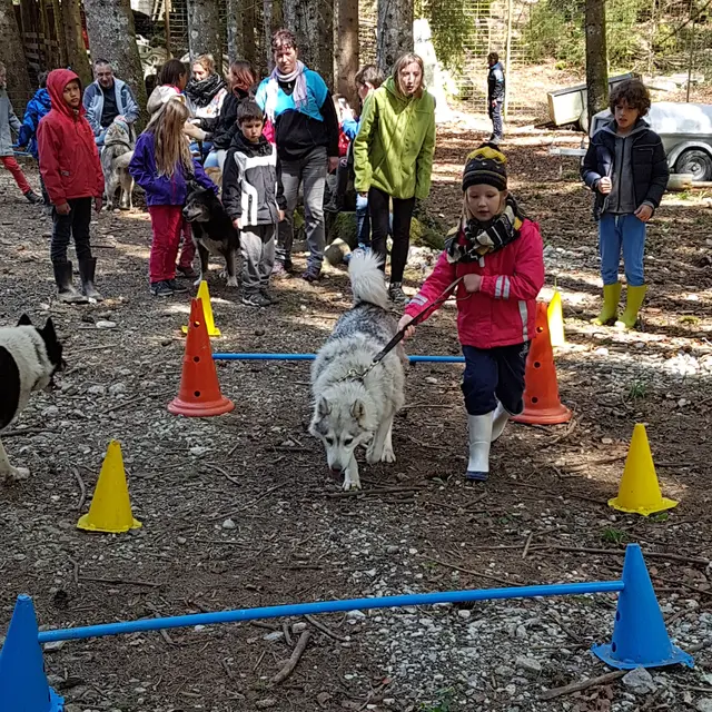 Les Ateliers du Parc Nordique - Agilty