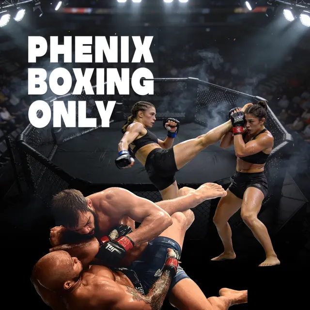 PHENIX BOXING ONLY N°13
