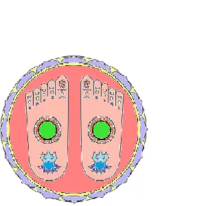 reflexologieescaron