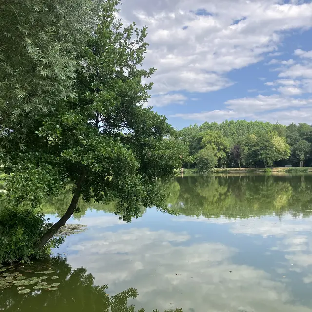 Etang d'Anneyron -base de l'Argentelle_Anneyron