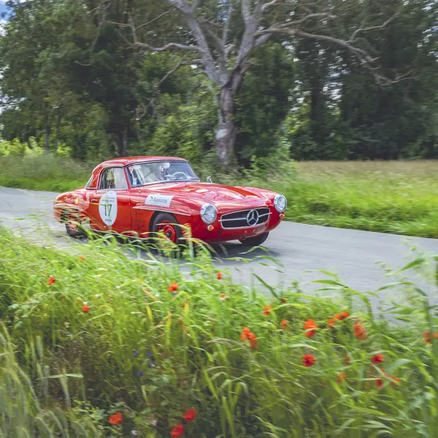 Rallye des Princesses_Villeneuve-lez-Avignon