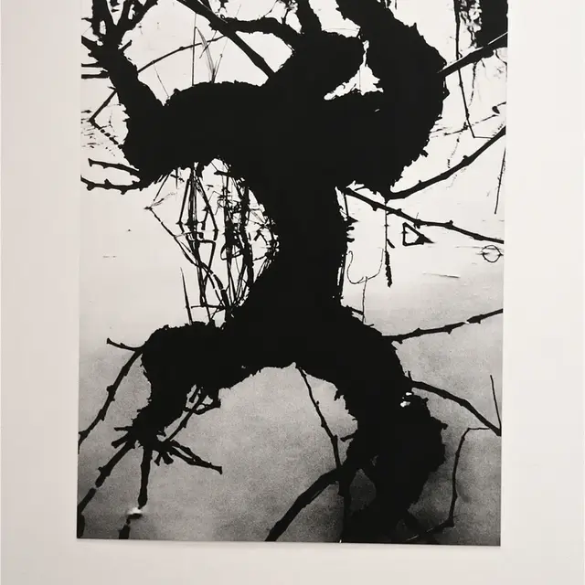 Exposition La Camargue, un autre monde_Arles