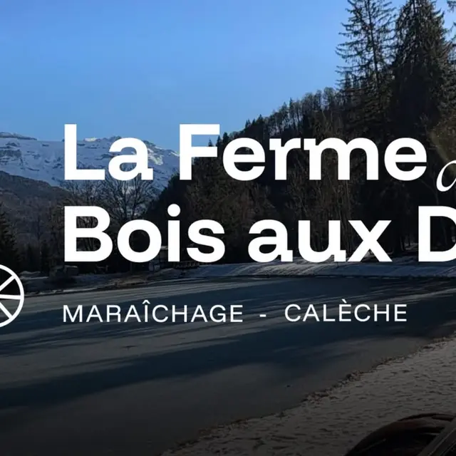 La ferme du Bois au Dames_Samoëns