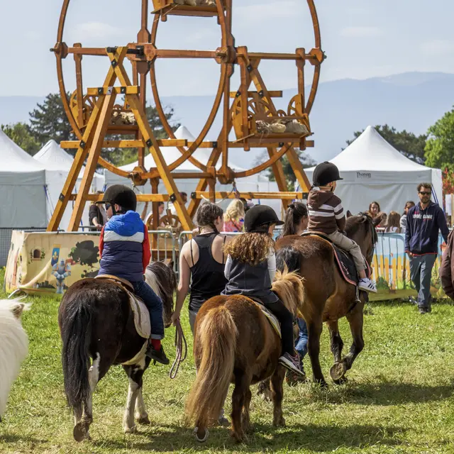 Folie(s) Végétales 2026_Thonon-les-Bains